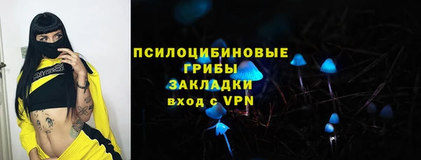 мдпв Арсеньев
