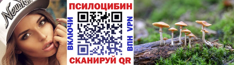 Купить закладки  Сухой Лог  Галлюциногенные грибы MAGIC MUSHROOMS 